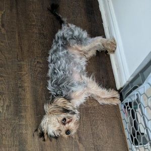 Meet your Posher, Lala